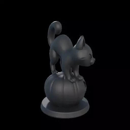 Black Cat on Pumpkin 3D print model_3