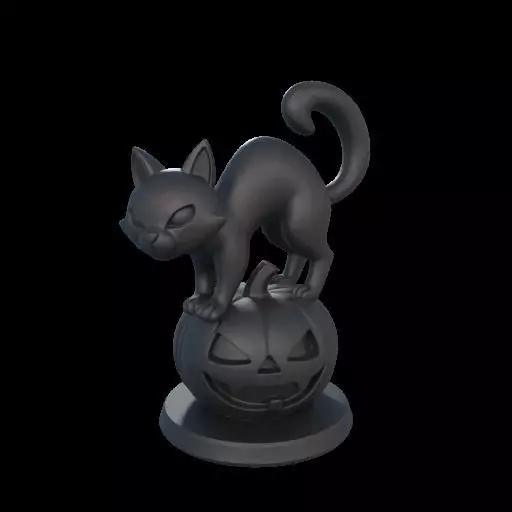 Black Cat on Pumpkin 3D print model_13