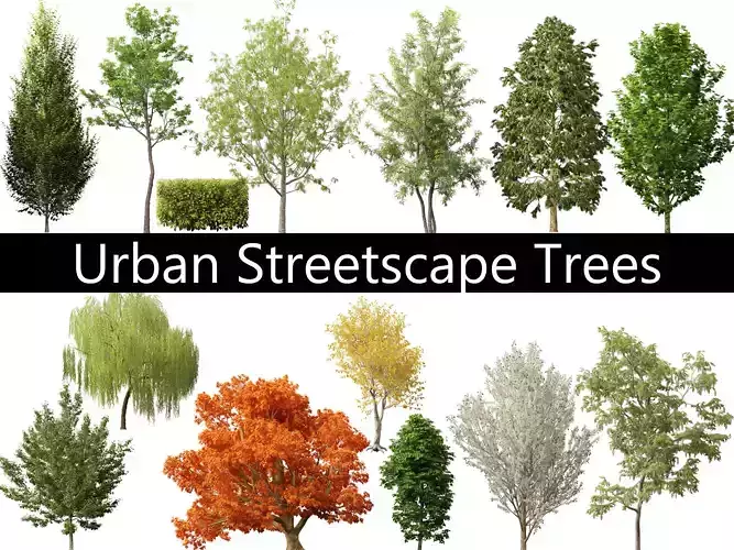 Urban Streetscape Trees Pack 11