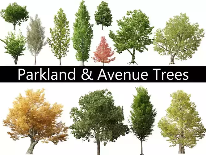 Parkland Avenue Trees Pack 12
