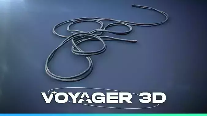 Network Cable Double 95cm Black Low-poly 3D model