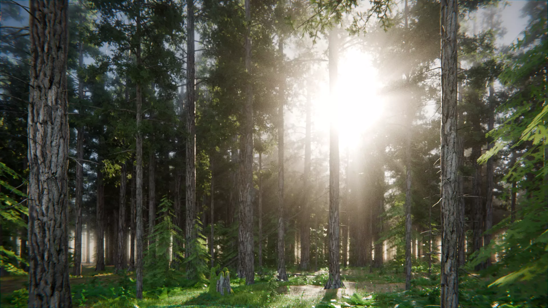 Tank in the Forest 3d Scene 3D model_7