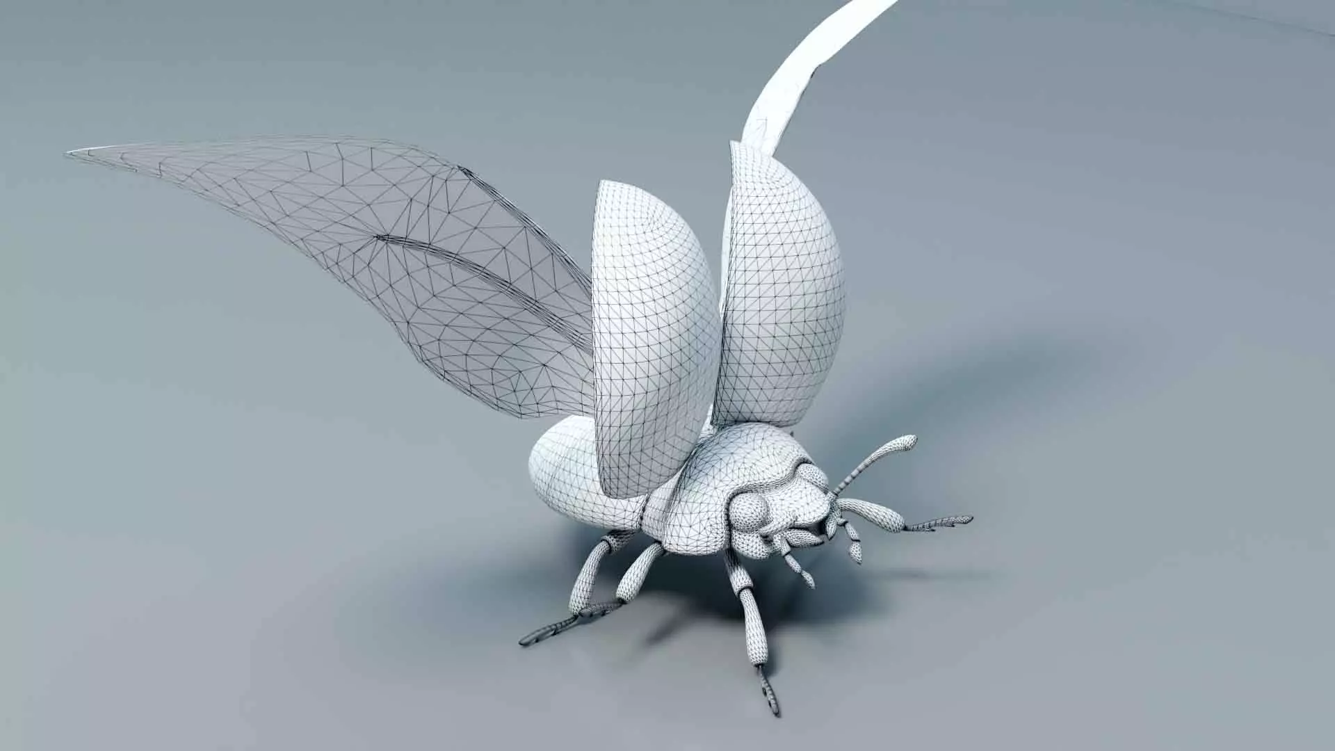 Ladybug stylized 3D model_23