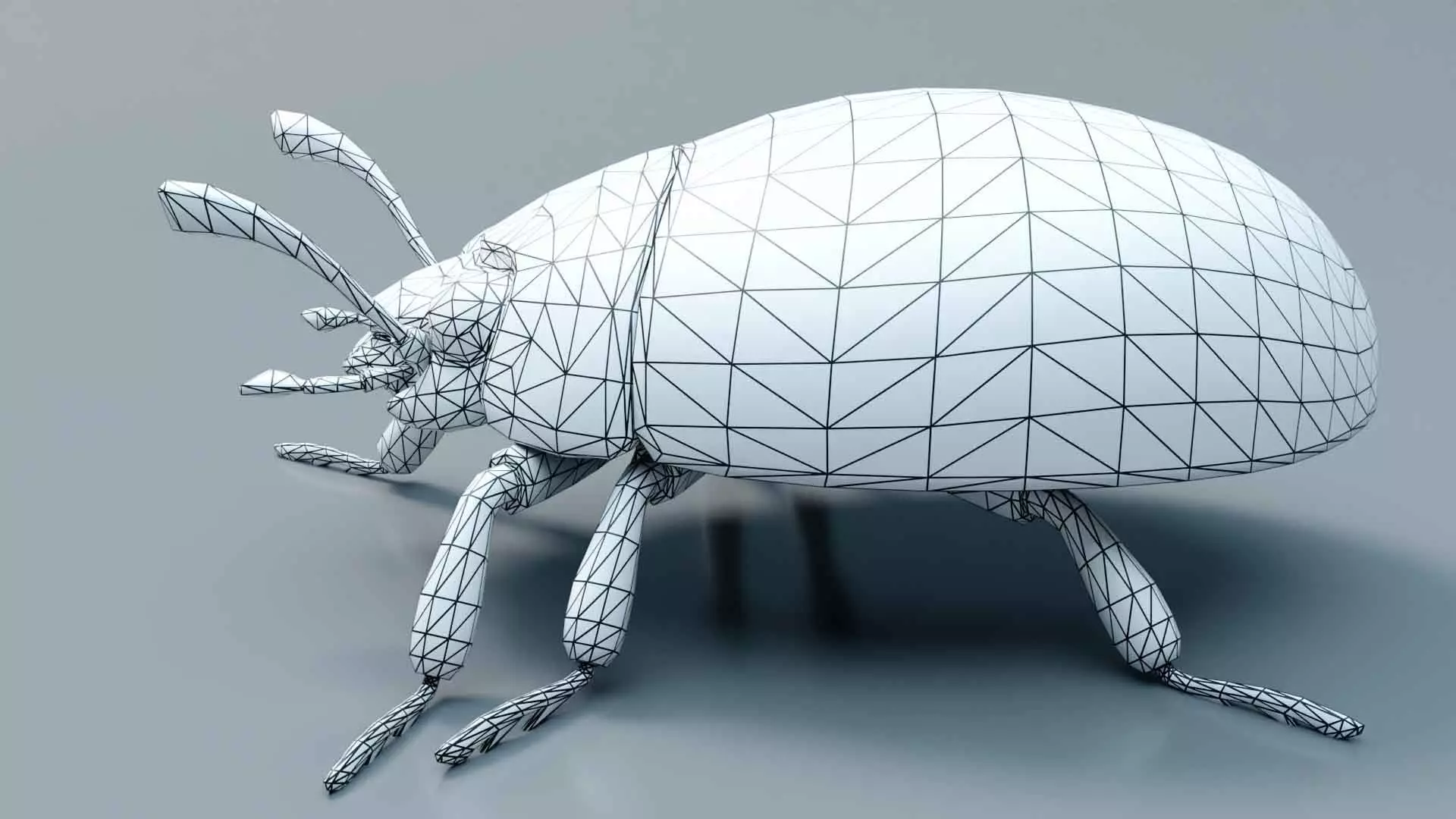 Ladybug stylized 3D model_3