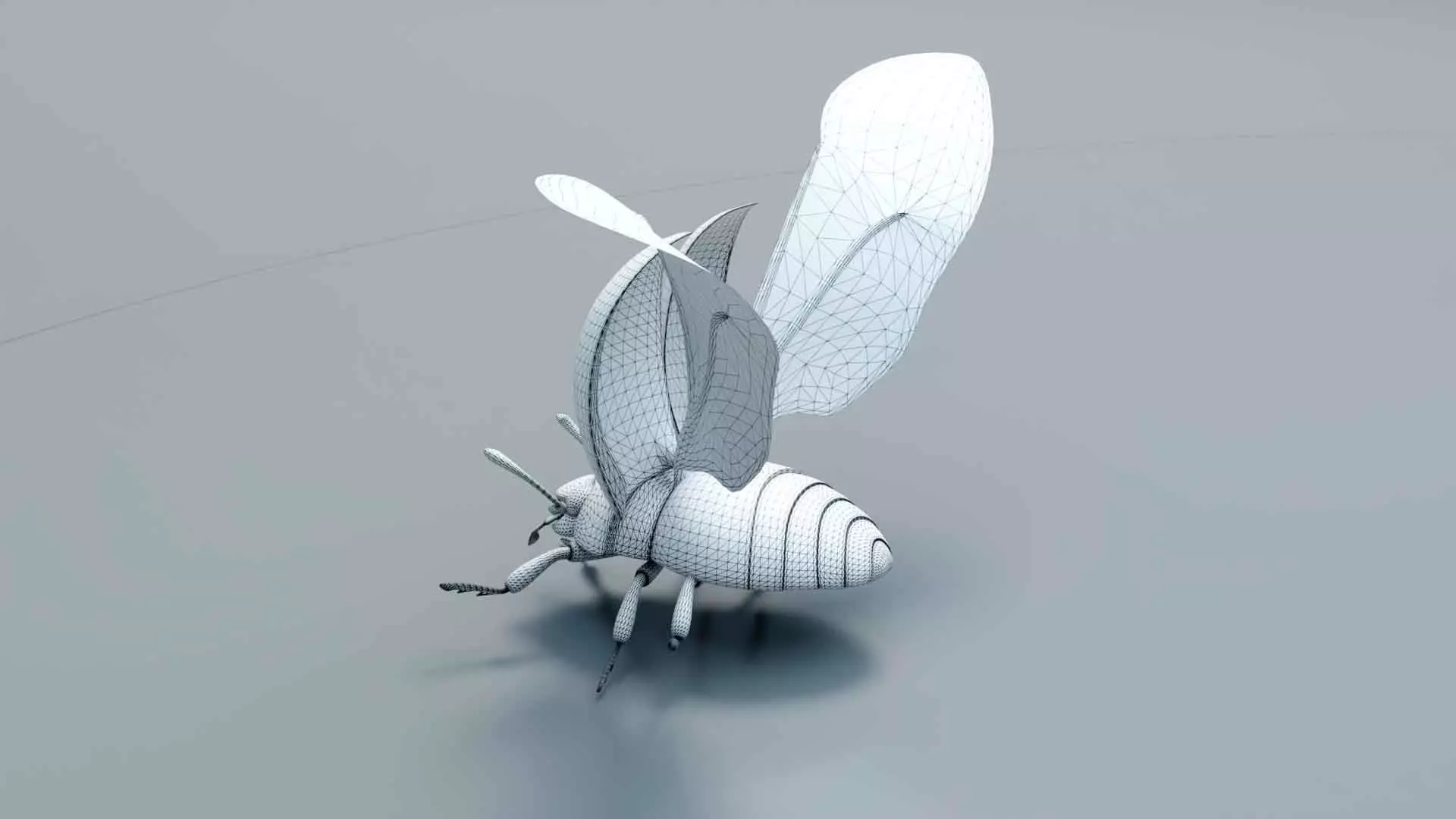 Ladybug stylized 3D model_20