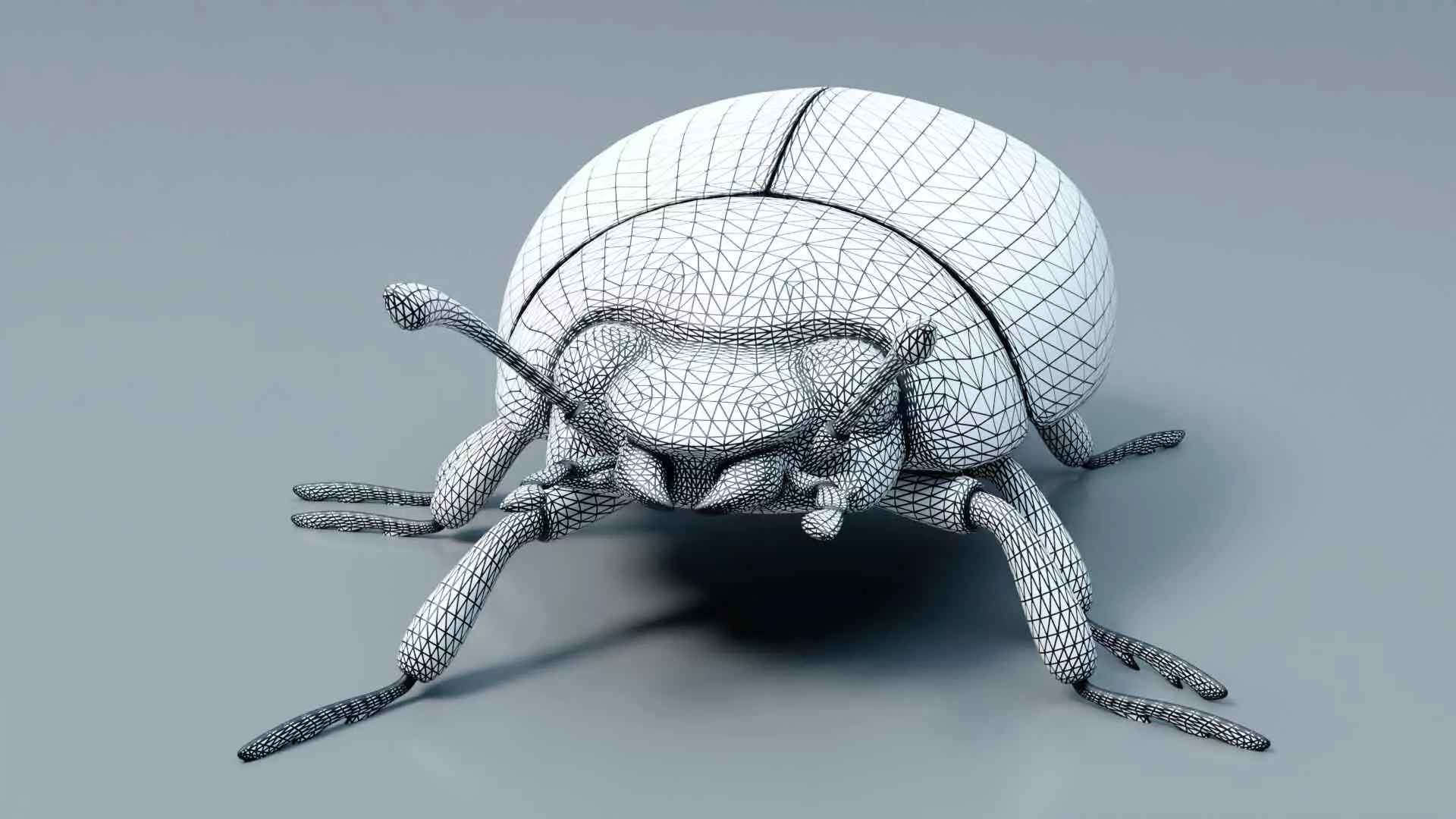 Ladybug stylized 3D model_8