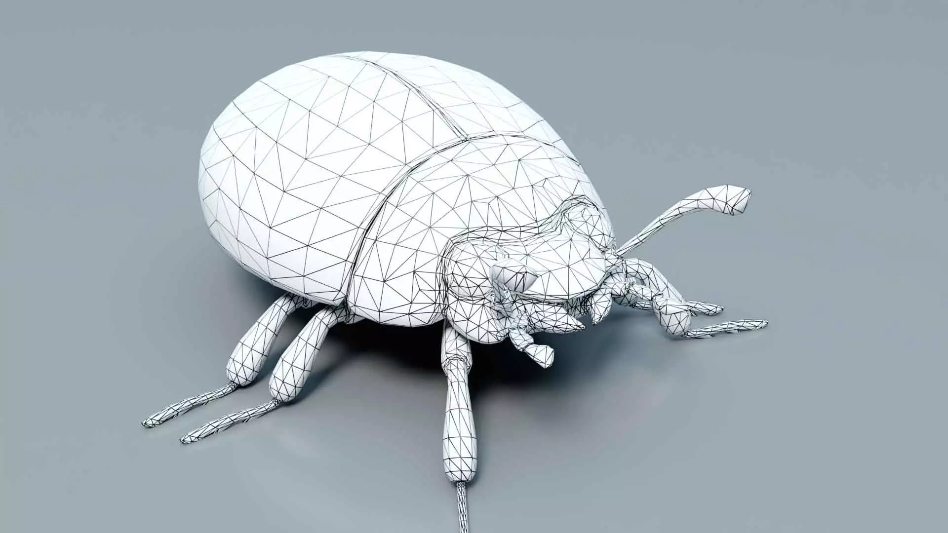 Ladybug stylized 3D model_6