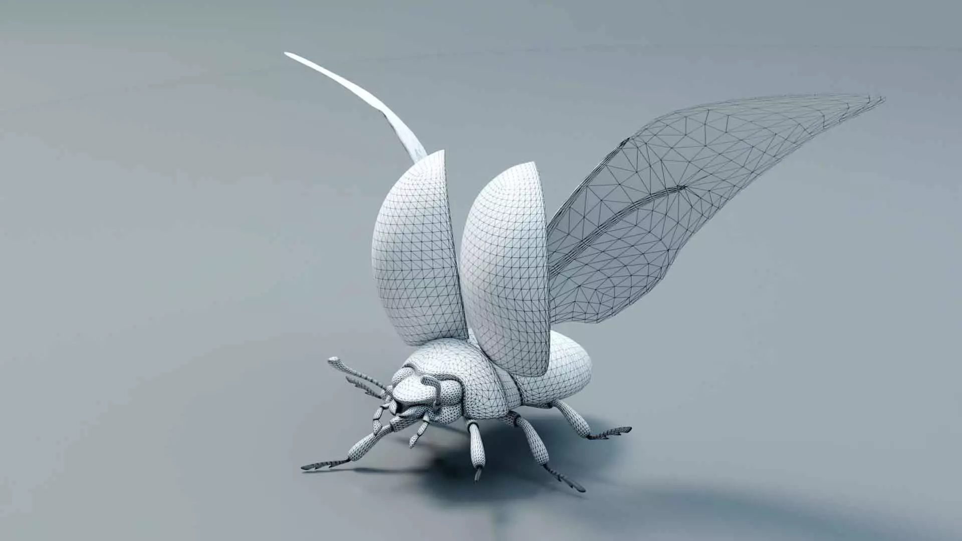 Ladybug stylized 3D model_14