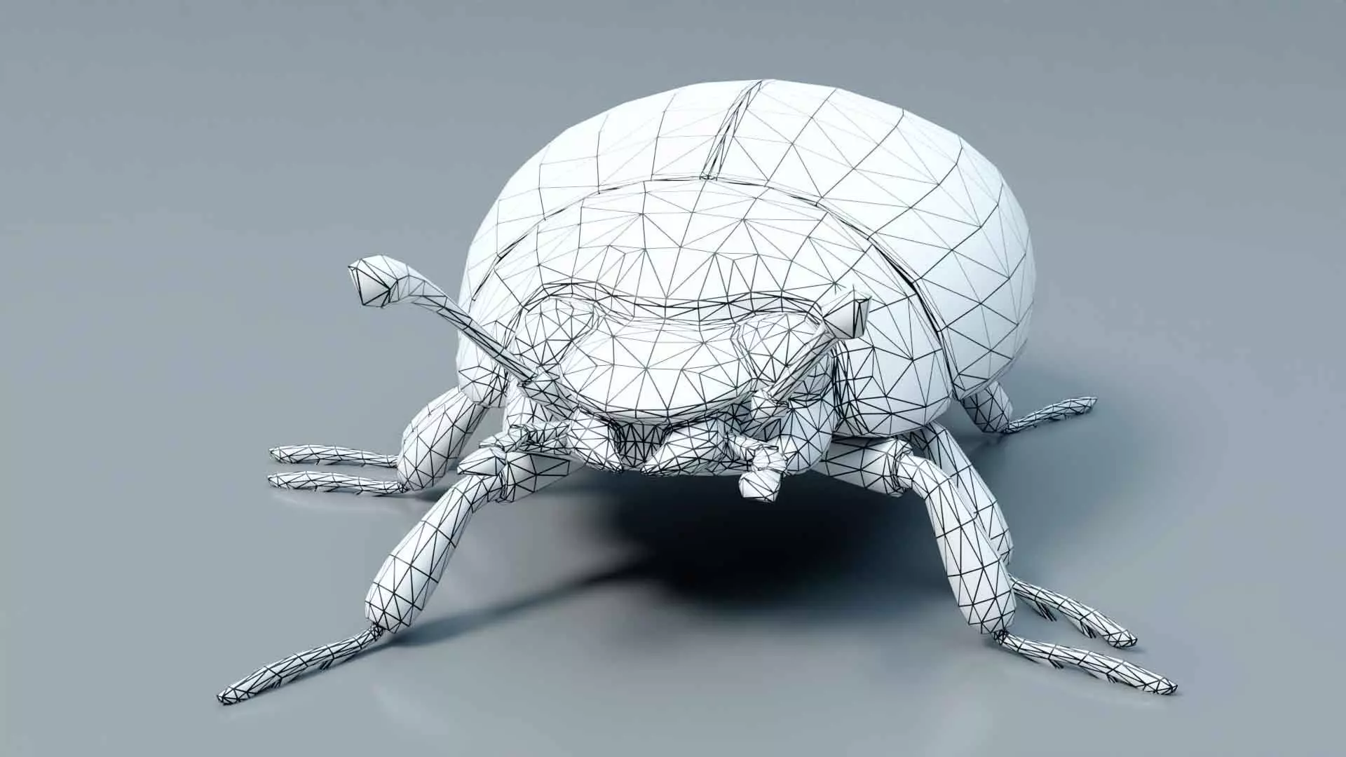 Ladybug stylized 3D model_9