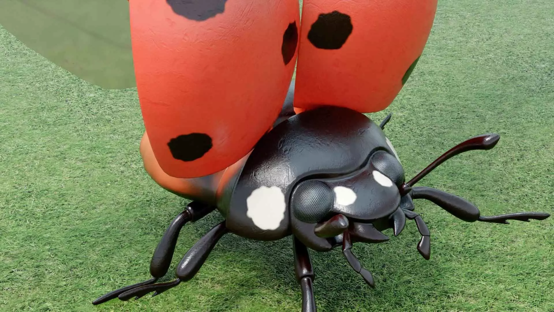Ladybug stylized 3D model_16