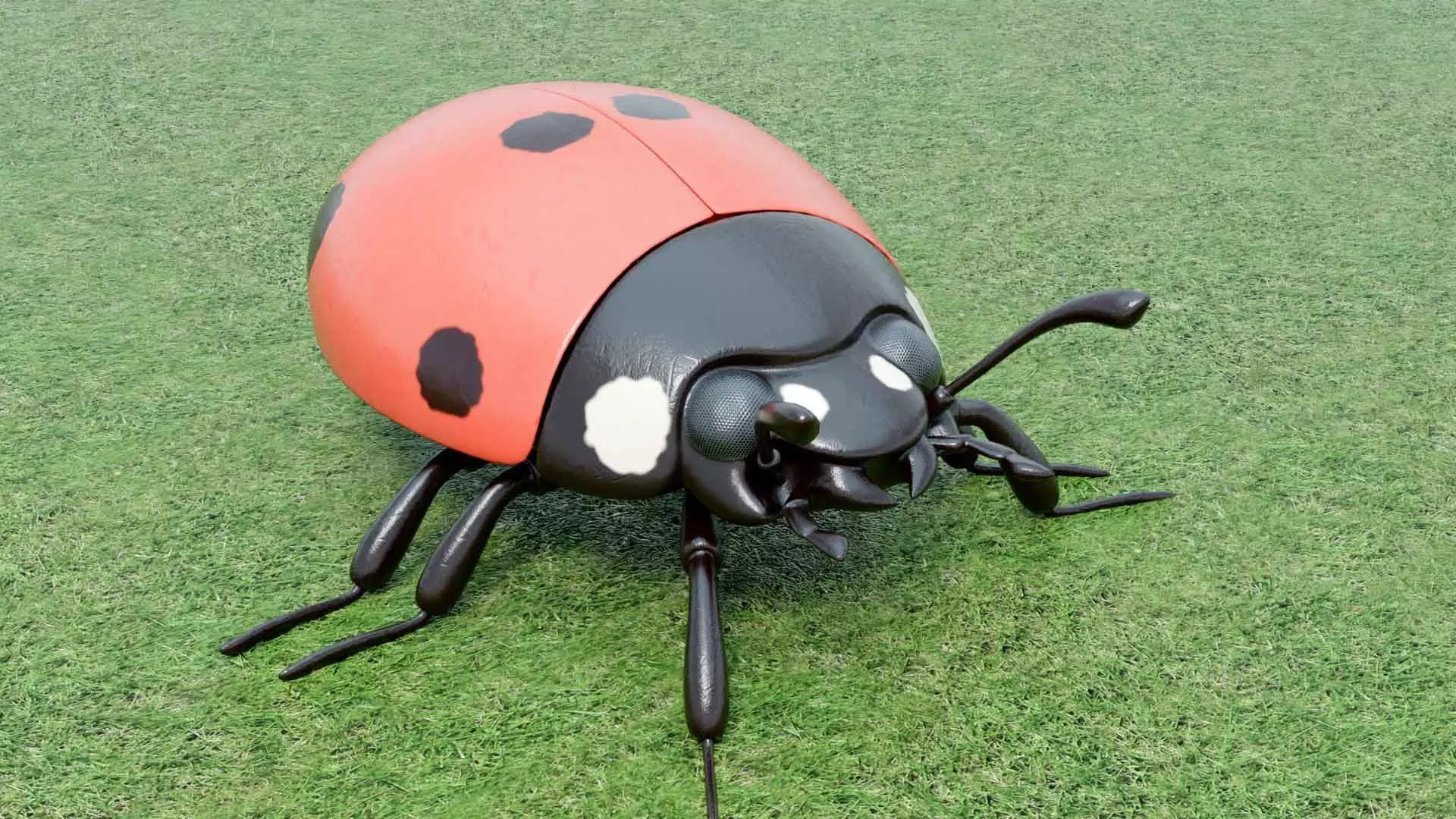 Ladybug stylized 3D model_4