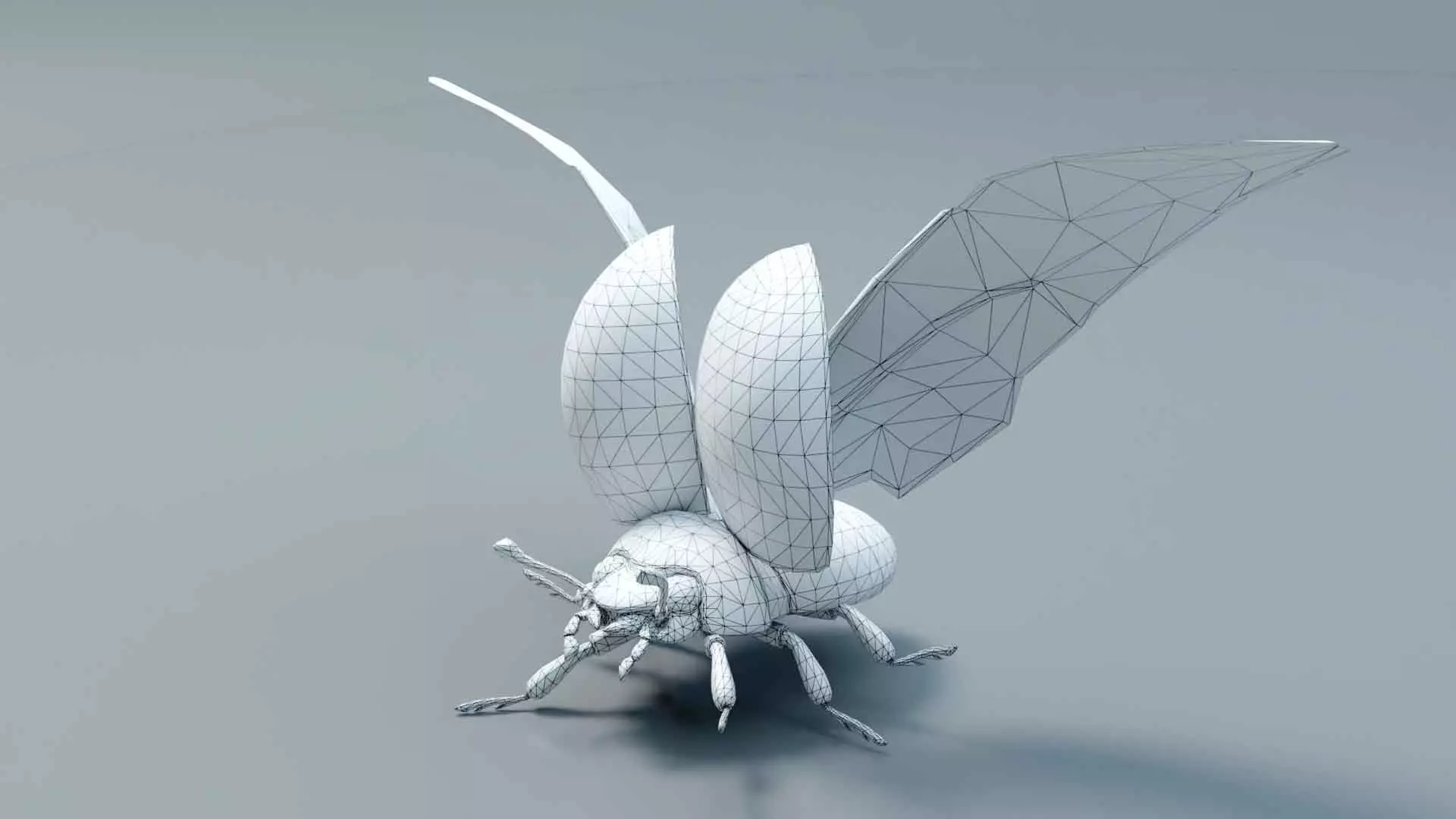 Ladybug stylized 3D model_15