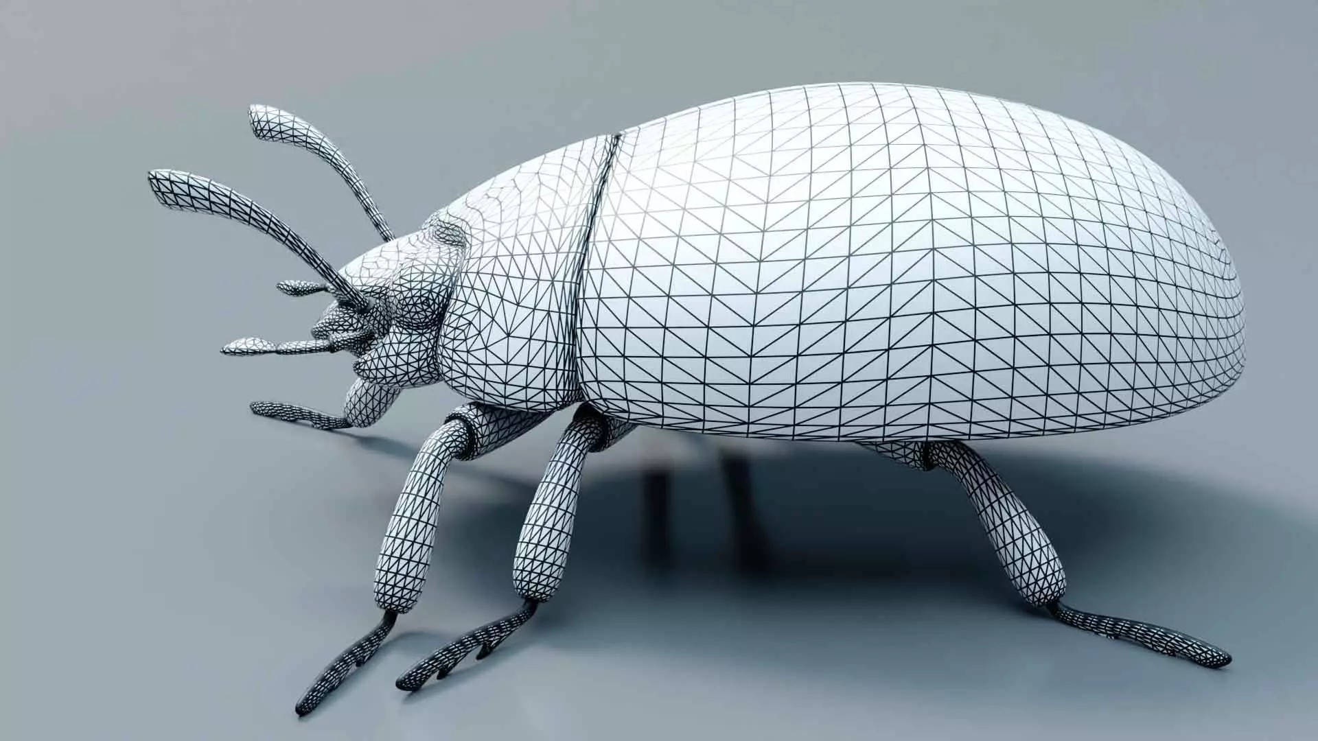 Ladybug stylized 3D model_2