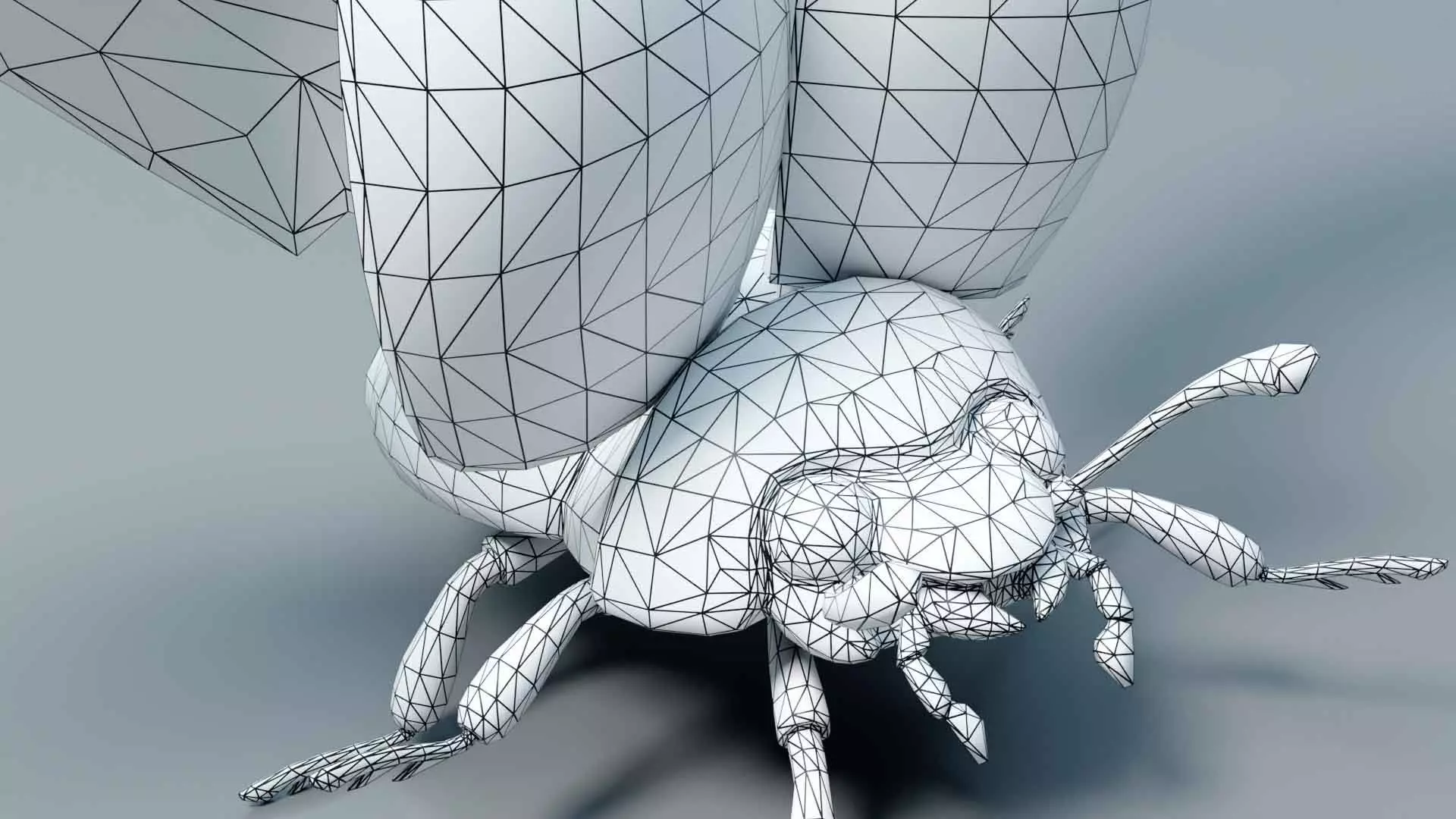 Ladybug stylized 3D model_18