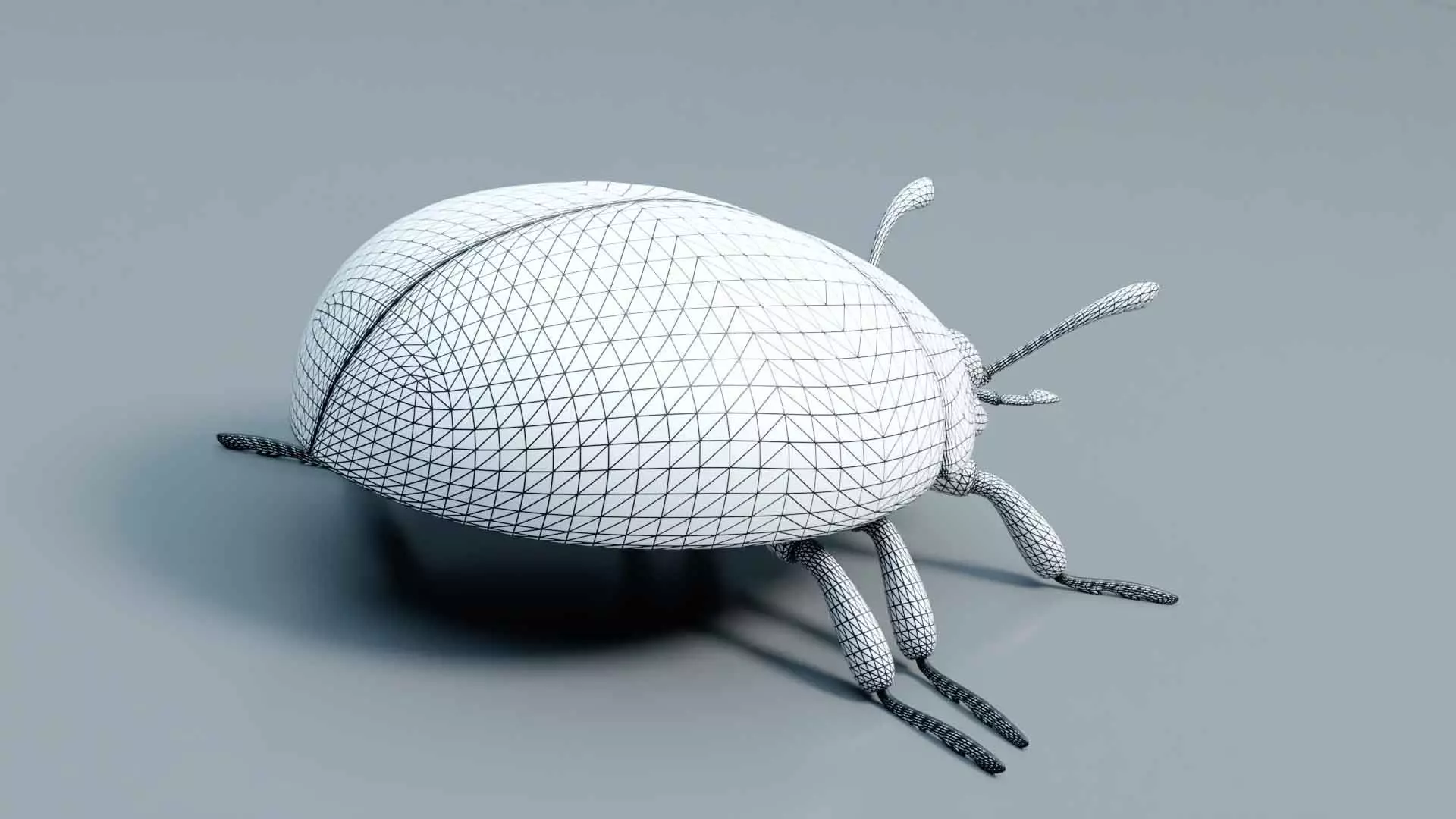 Ladybug stylized 3D model_11