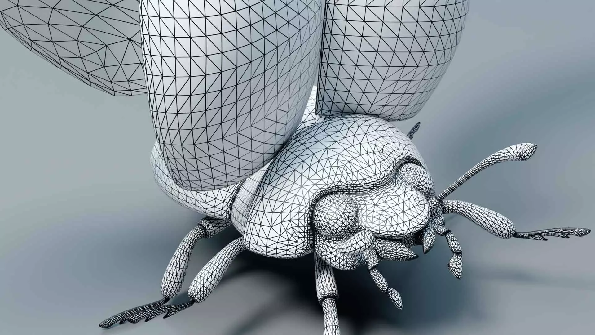 Ladybug stylized 3D model_17