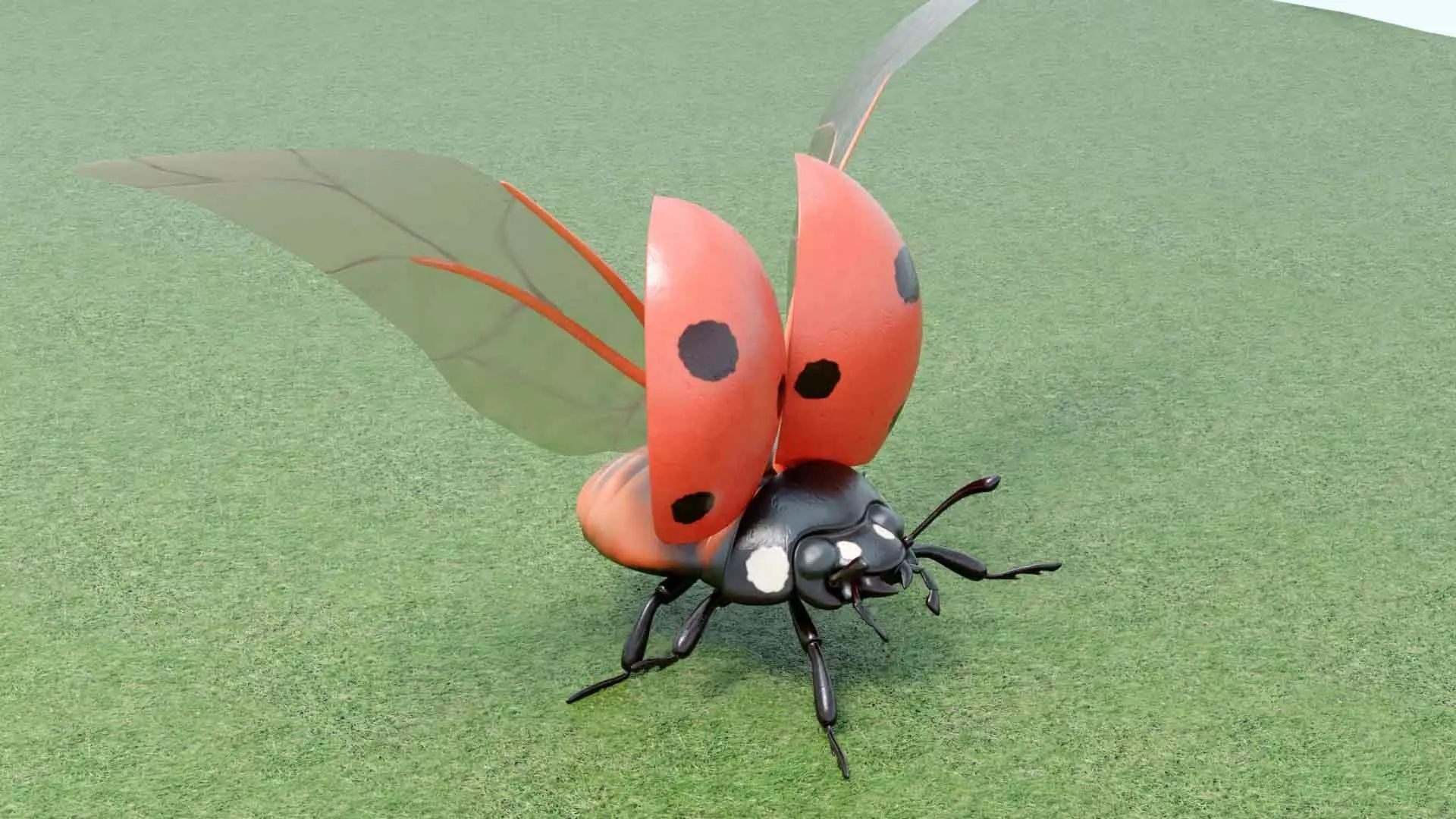 Ladybug stylized 3D model_22