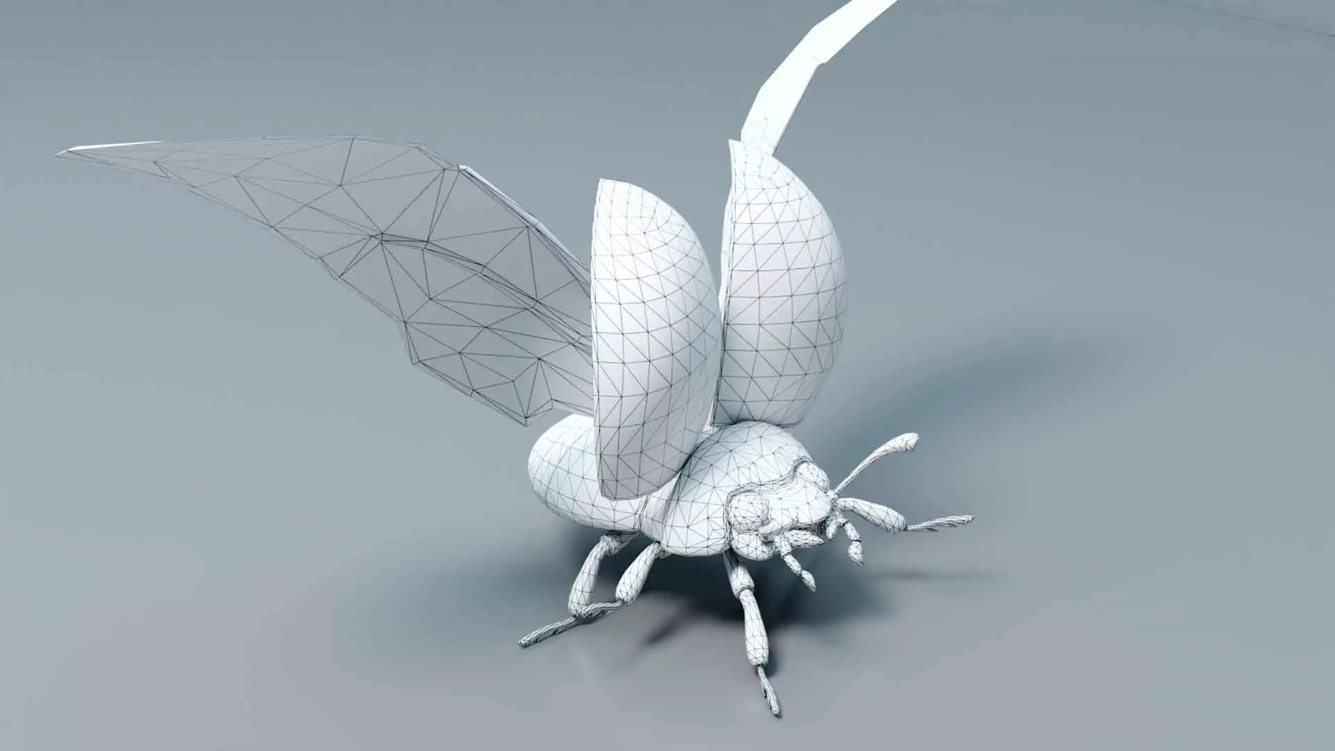 Ladybug stylized 3D model_24