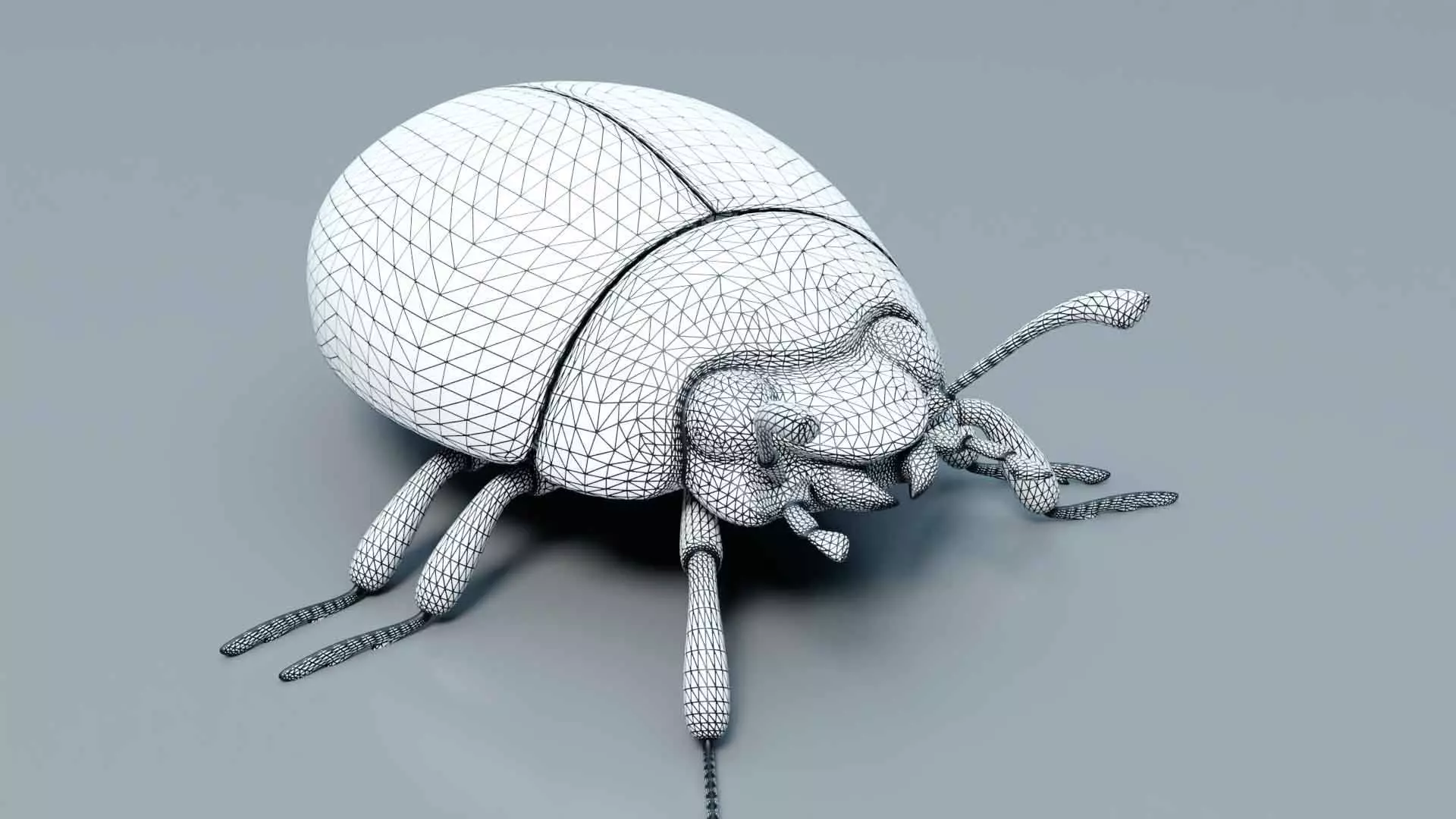 Ladybug stylized 3D model_5