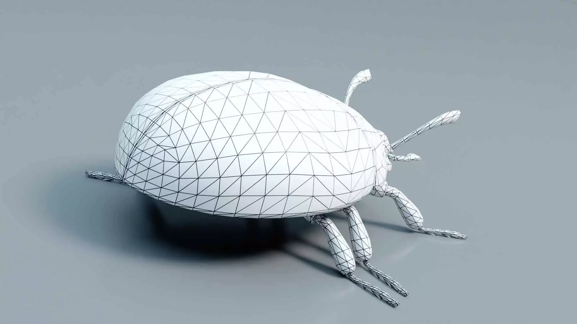 Ladybug stylized 3D model_12