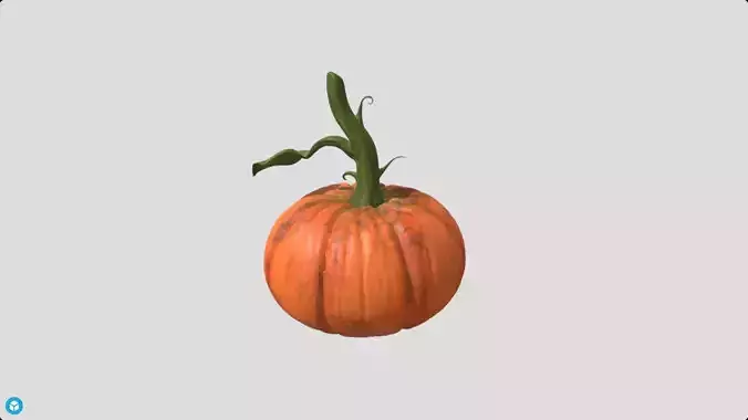 pumpkin