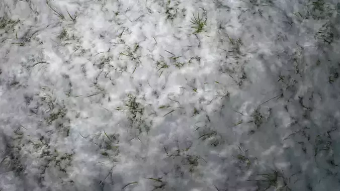 Snowy Grass PBR Texture Texture