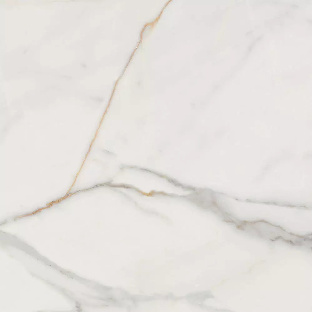 White Marble Floor Slab 3D Model Texture_3