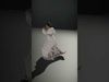 Elegant White Maternity Dress model pack Low-poly 3D model_2