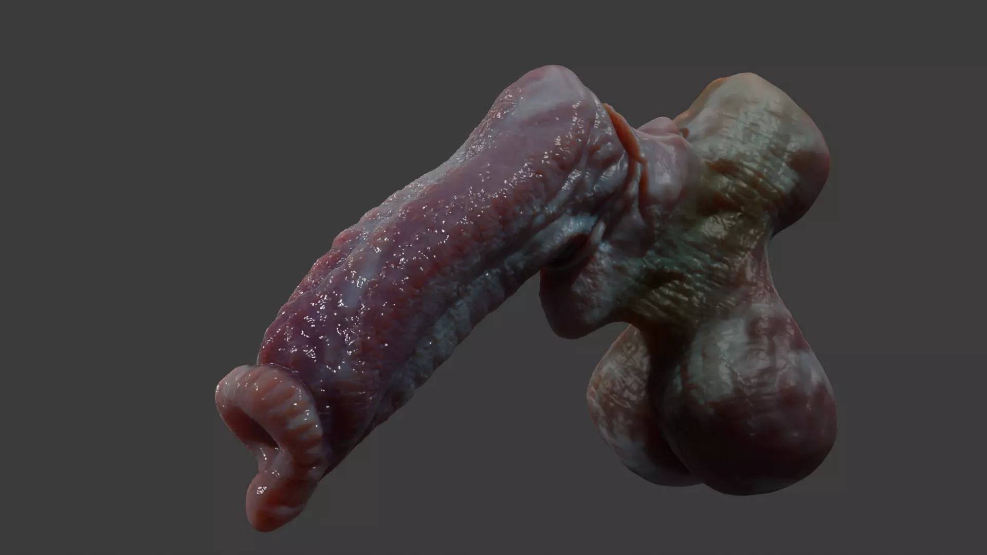 Fantasy Dorg Demon Dog Penis Low-poly 3D model_6