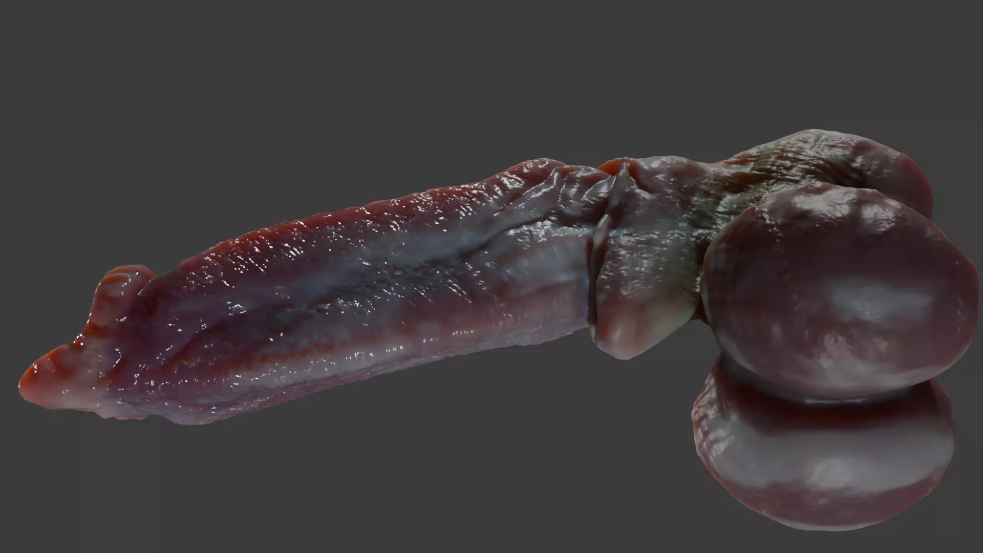 Fantasy Dorg Demon Dog Penis Low-poly 3D model_9