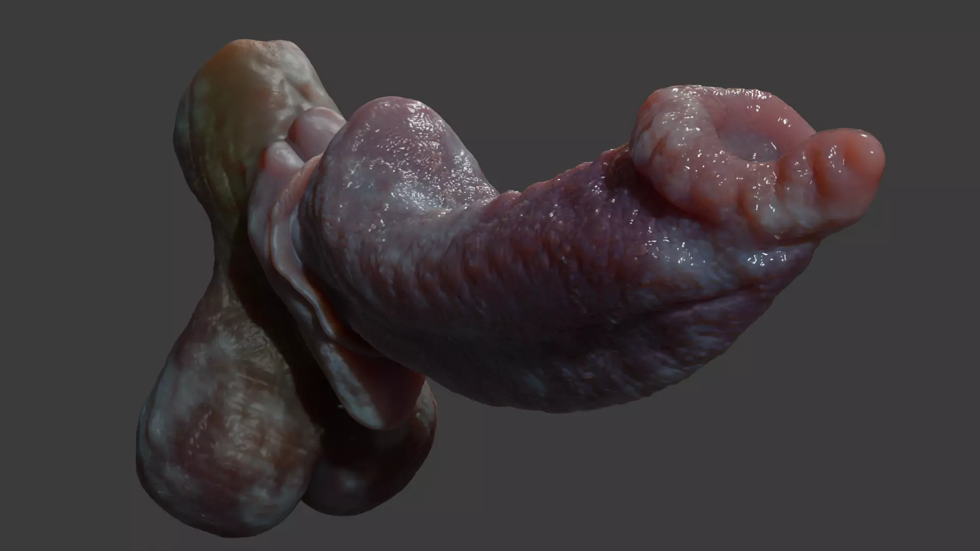 Fantasy Dorg Demon Dog Penis Low-poly 3D model_7