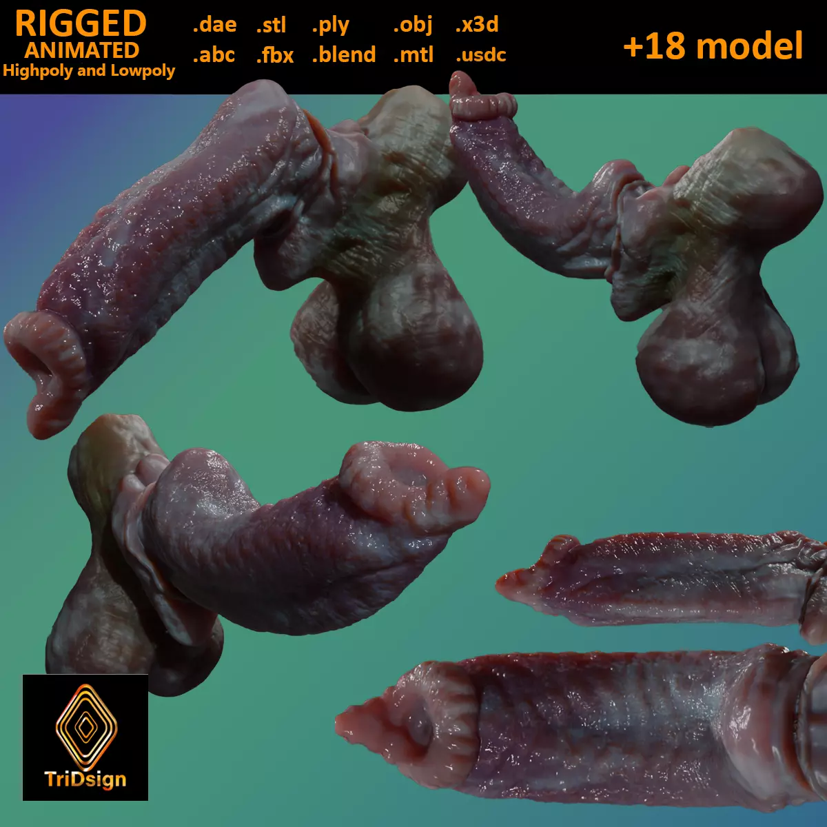 Fantasy Dorg Demon Dog Penis Low-poly 3D model_0