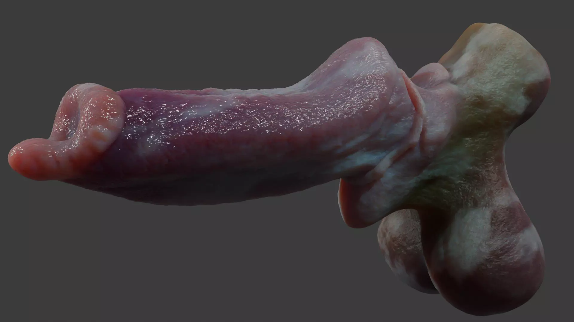 Fantasy Dorg Demon Dog Penis Low-poly 3D model_11