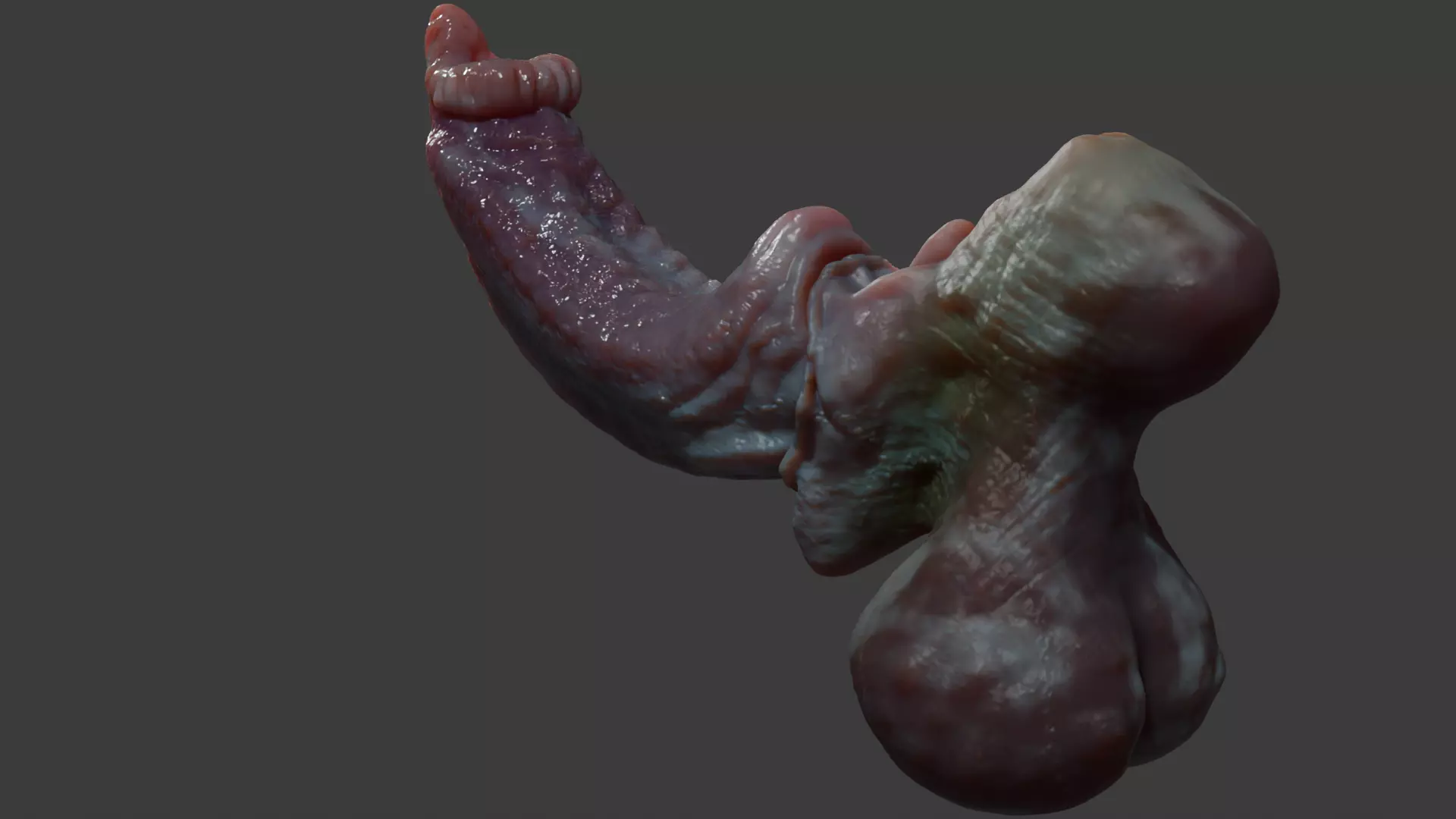 Fantasy Dorg Demon Dog Penis Low-poly 3D model_8