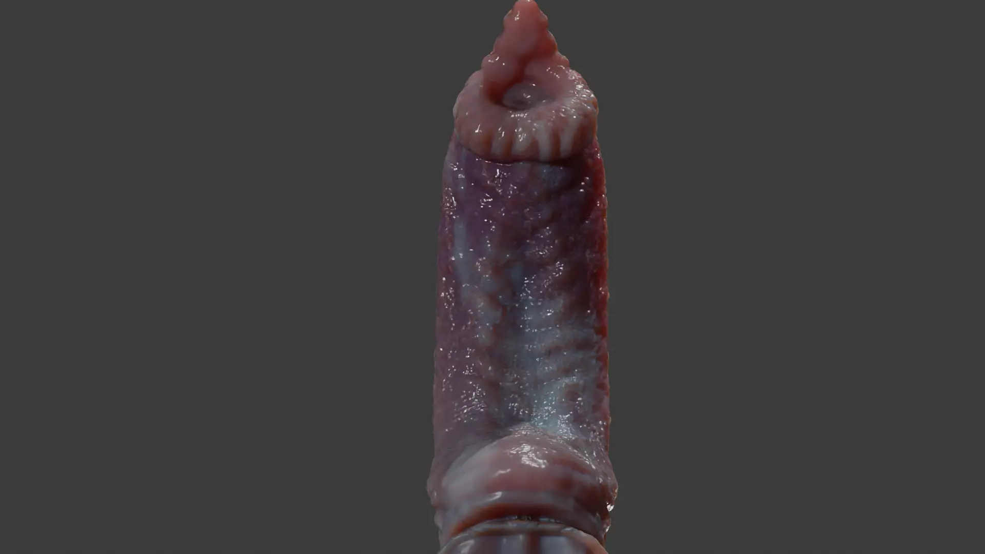Fantasy Dorg Demon Dog Penis Low-poly 3D model_10
