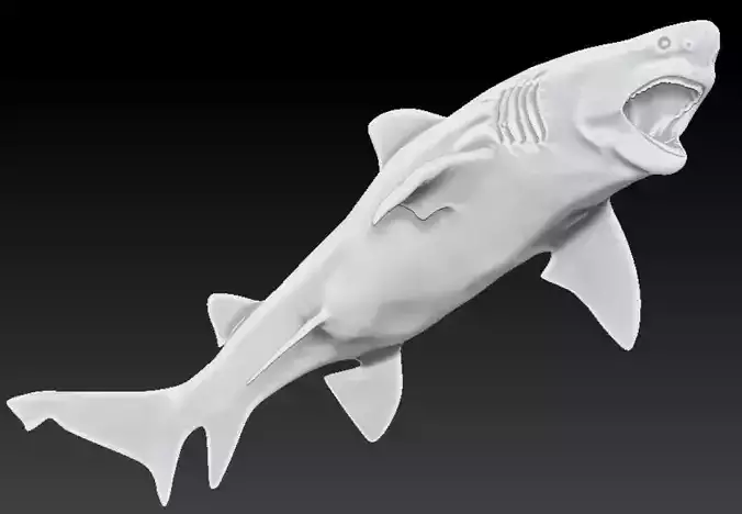 great shark 3D print model