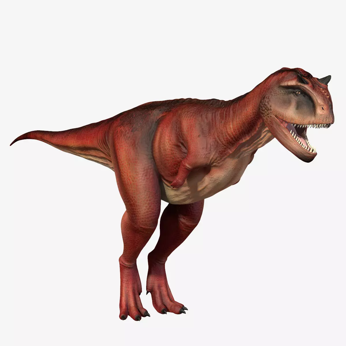 Carnotaurus dinosaur Low-poly 3D model_0
