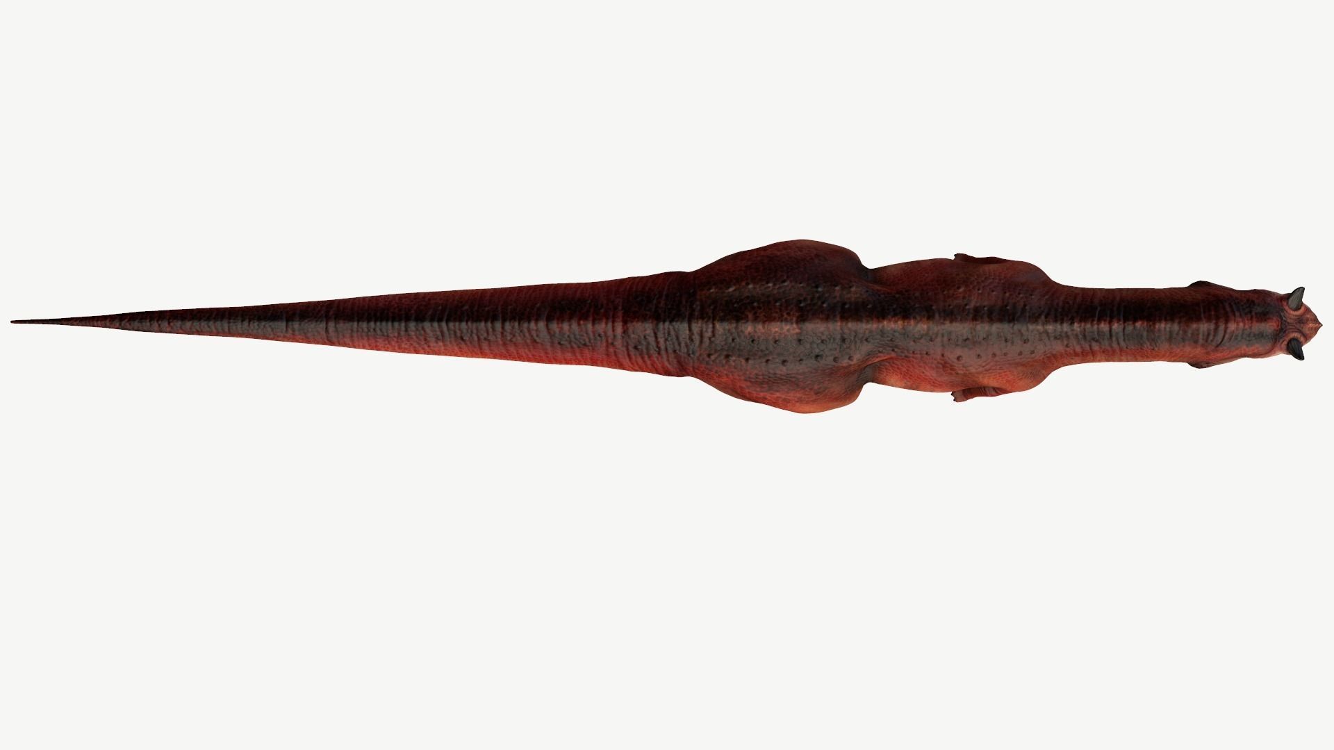 Carnotaurus dinosaur Low-poly 3D model_7