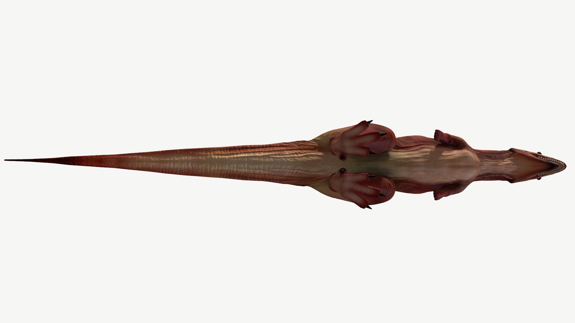 Carnotaurus dinosaur Low-poly 3D model_11