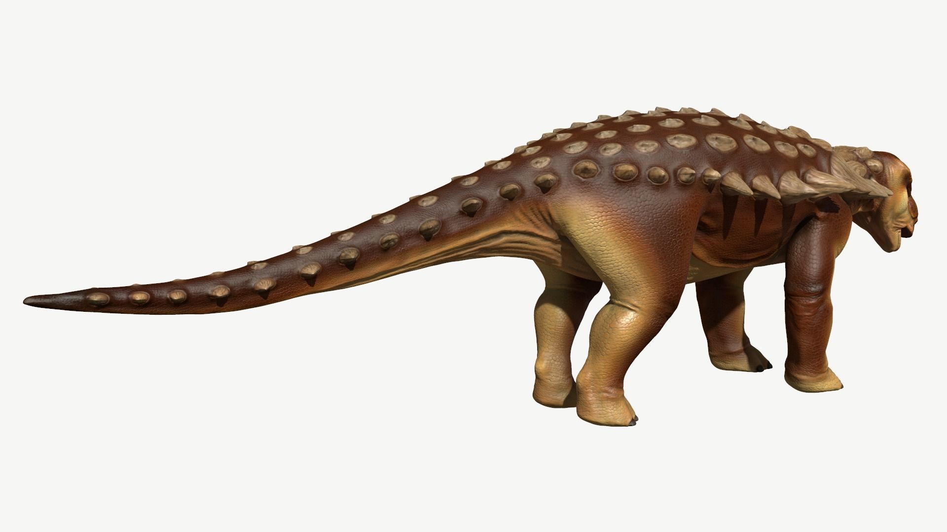 Edmontonia dinosaur Low-poly 3D model_5