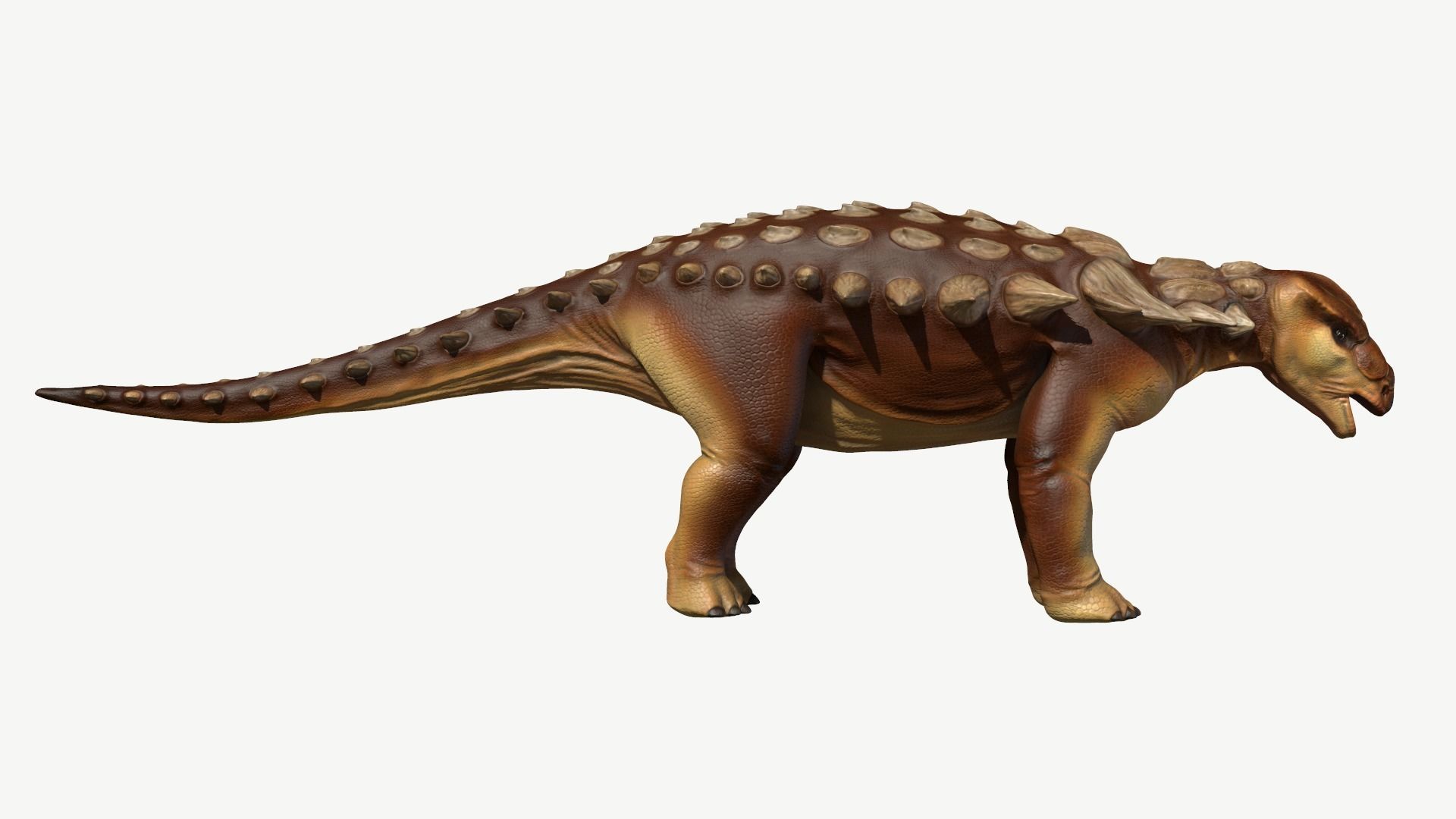 Edmontonia dinosaur Low-poly 3D model_3