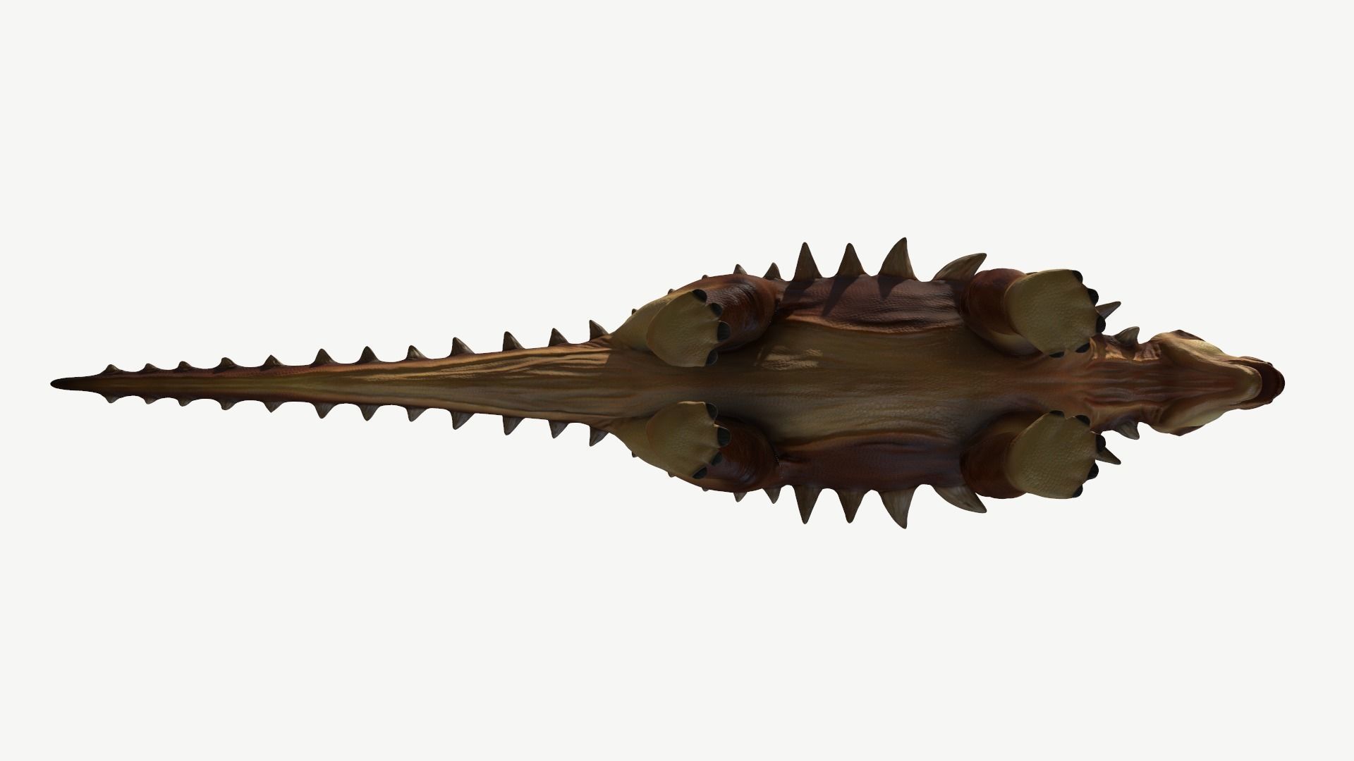 Edmontonia dinosaur Low-poly 3D model_13