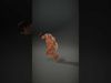 Versatile Maternity Wardrobe Pack 3D Model Collection_6