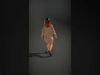 Versatile Maternity Wardrobe Pack 3D Model Collection_34