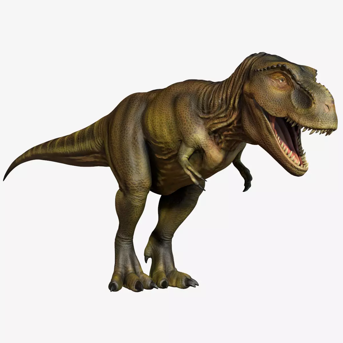 Tyrannosaurus Rex Low-poly 3D model_0
