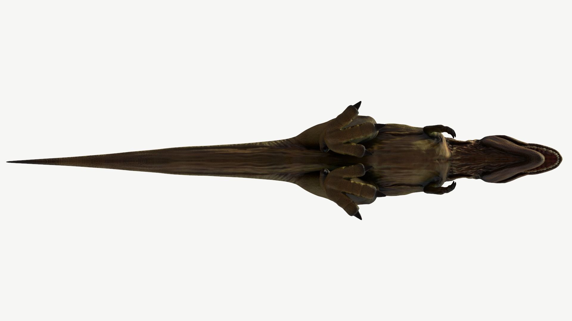 Tyrannosaurus Rex Low-poly 3D model_11