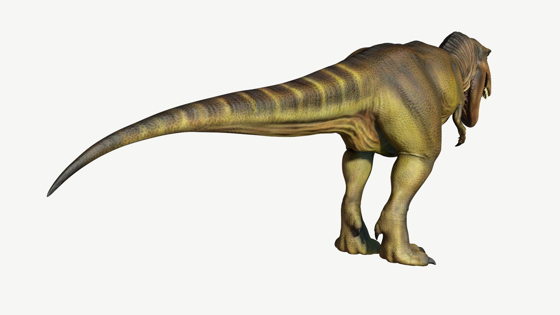 Tyrannosaurus Rex Low-poly 3D model_5