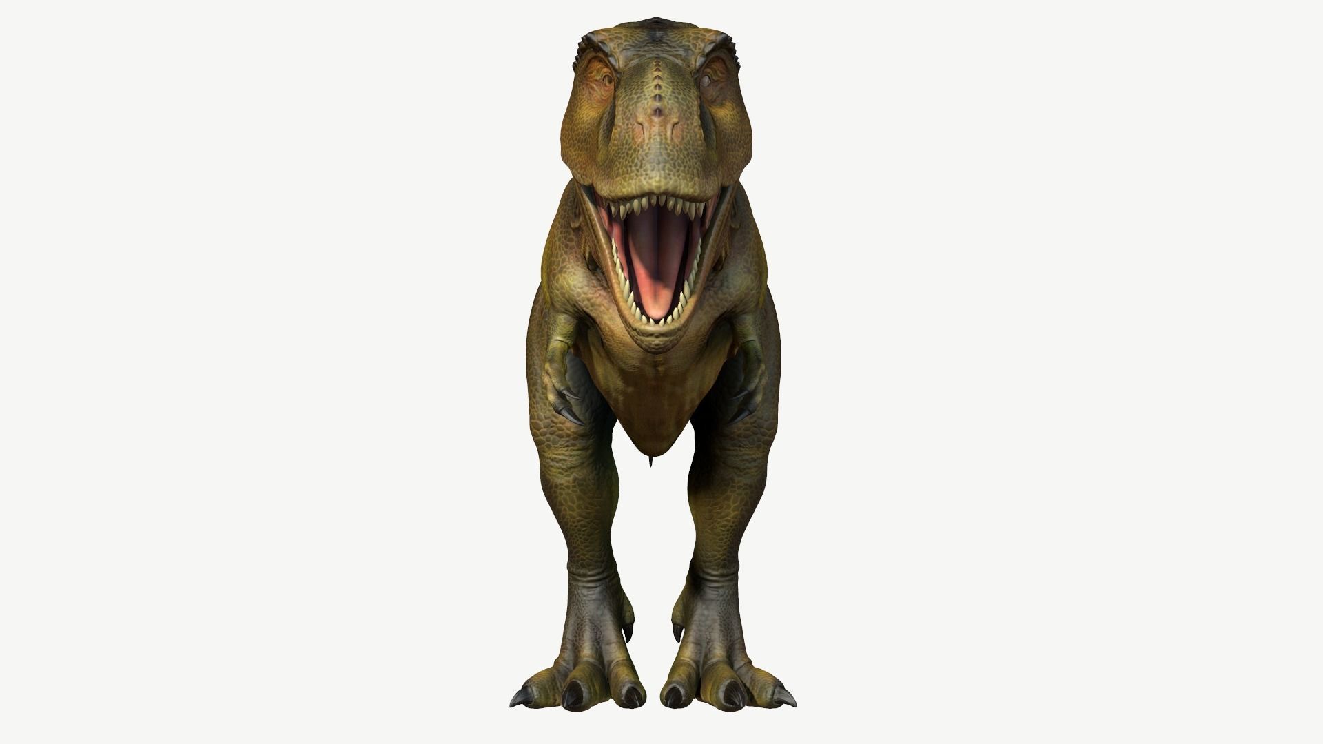 Tyrannosaurus Rex Low-poly 3D model_9