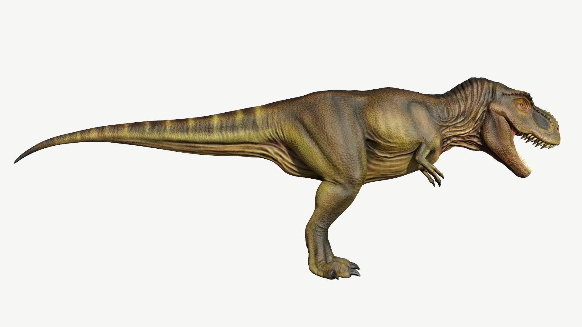 Tyrannosaurus Rex Low-poly 3D model_3