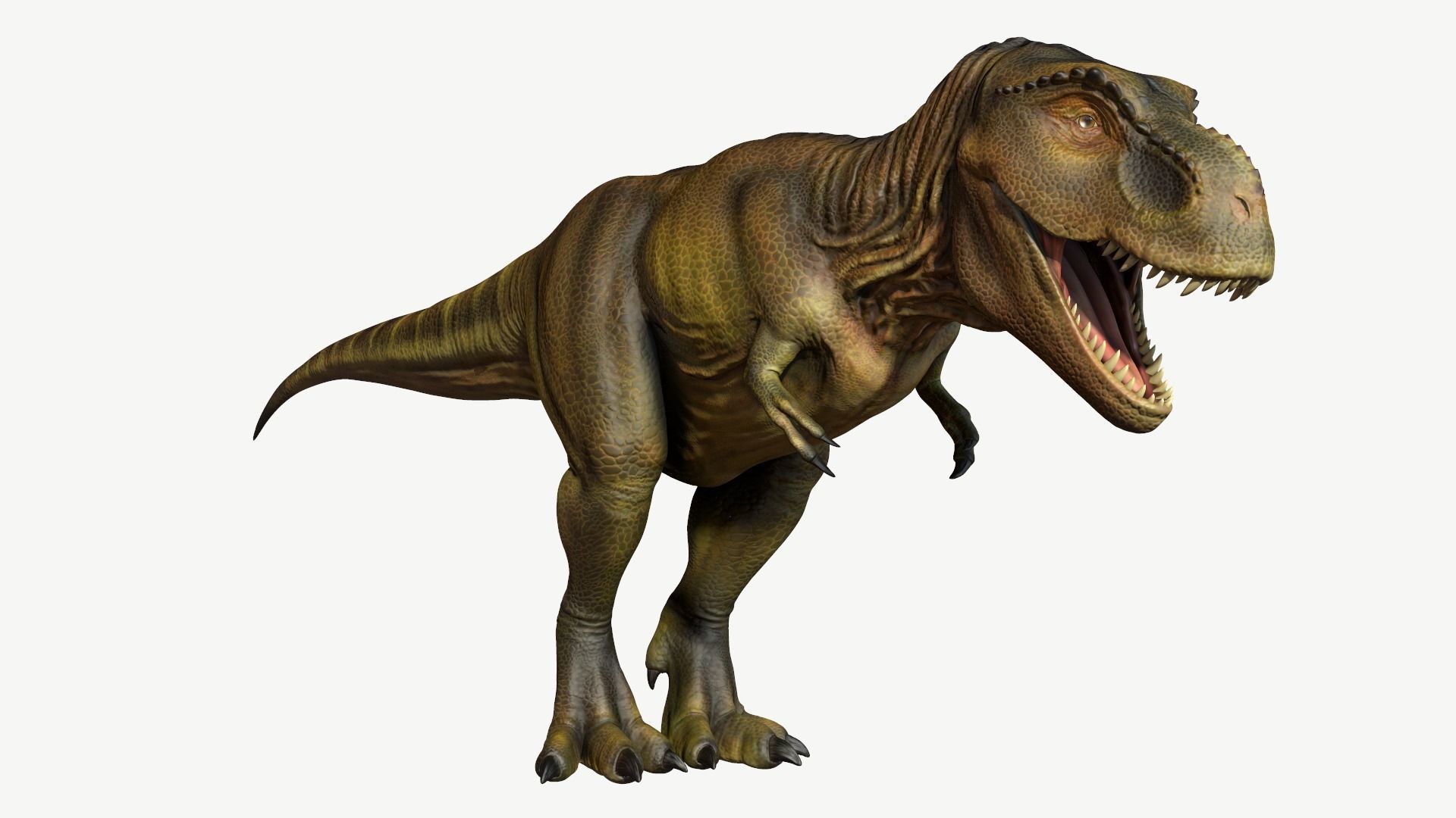 Tyrannosaurus Rex Low-poly 3D model_1